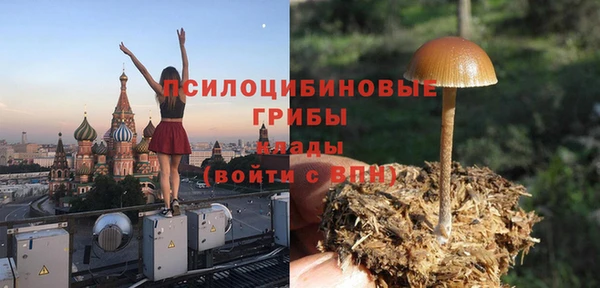МДМА Елизово