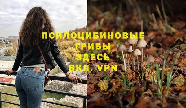 трава Елабуга