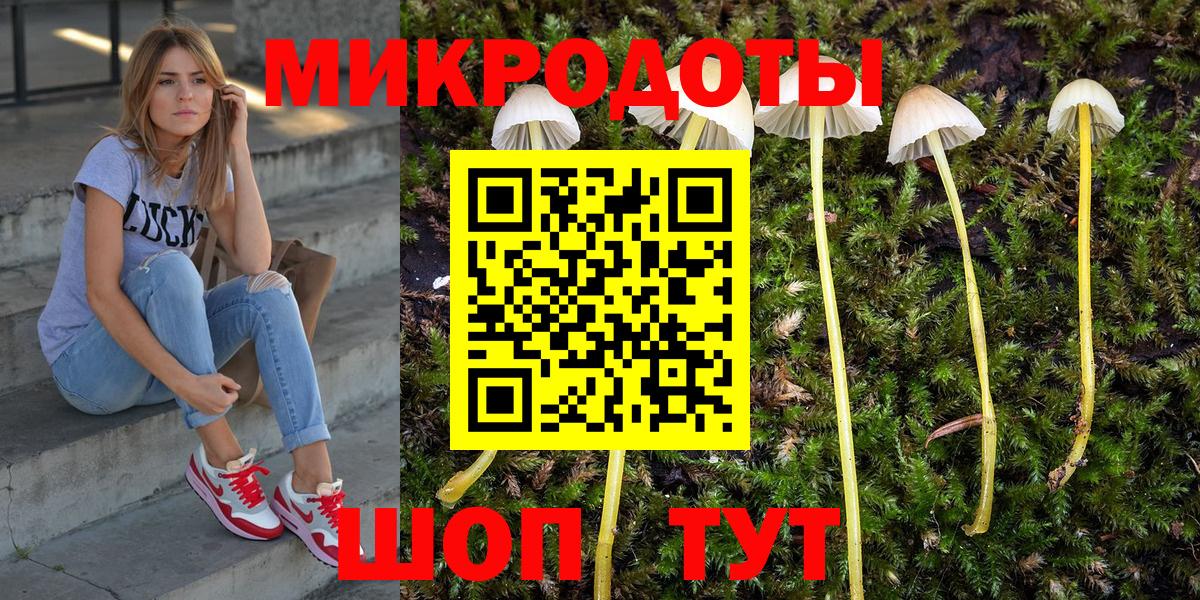 Псилоцибиновые грибы Cubensis Боровичи