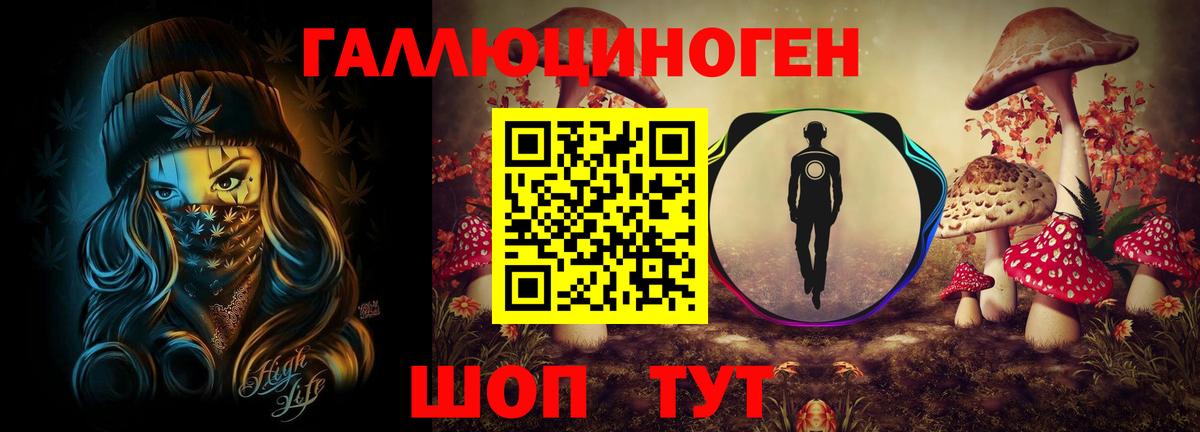 Псилоцибиновые грибы прущие грибы  Вход с VPN  Боровичи 